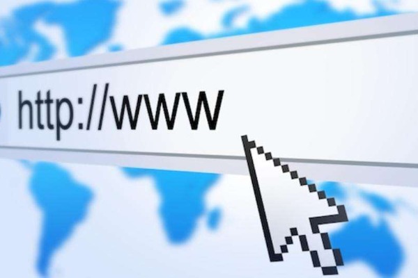 What should I pay attention to during the domain name auction process?