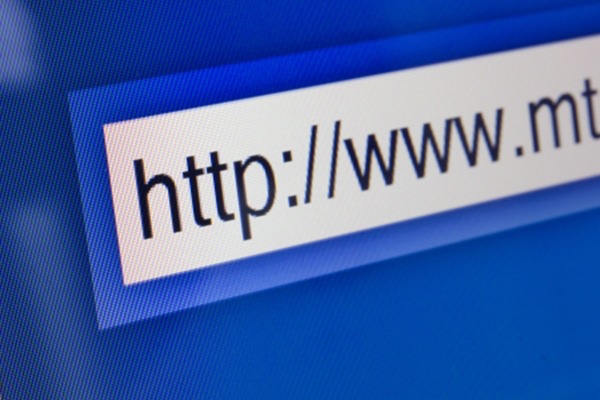 What are the domain name management fees?