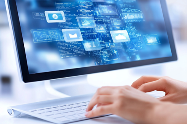 What does the domain name buying and selling process specifically include?