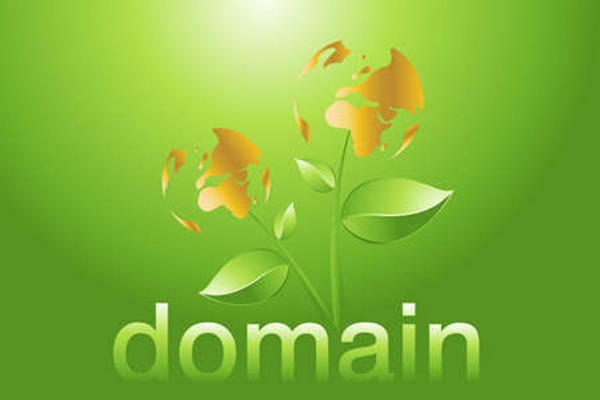 What is a ws domain name? How about a ws domain name?