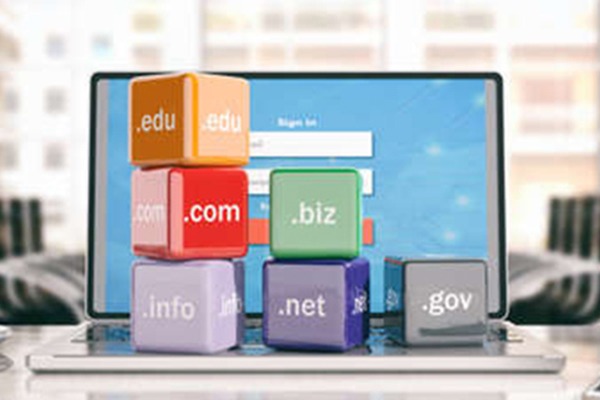 What is the difference between choosing different websites when registering a domain name?