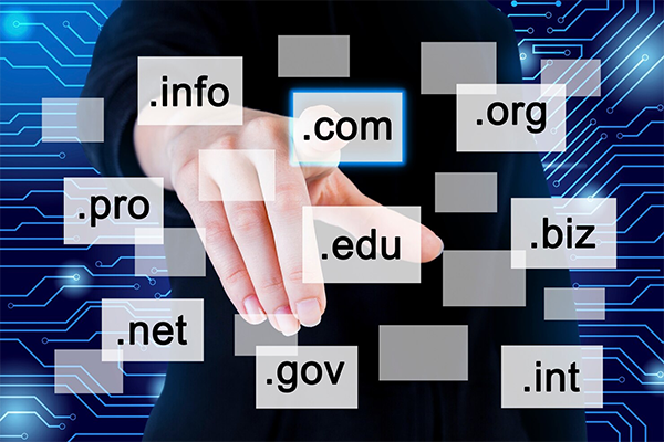 How to analyze domain name investment? What are the techniques?