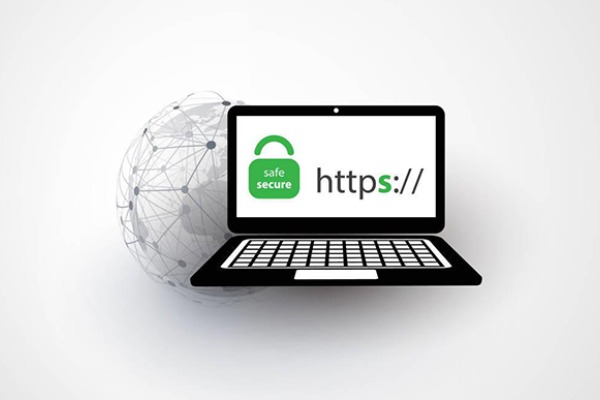 How do I know if I've actually bought a domain name?