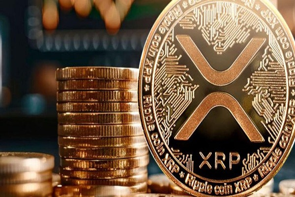 最快本周上市!美国5档瑞波币现货ETF入列DTCC维护名单