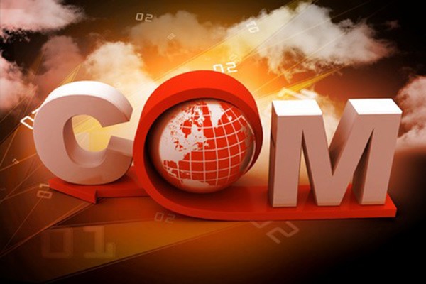 What is an internet domain name?