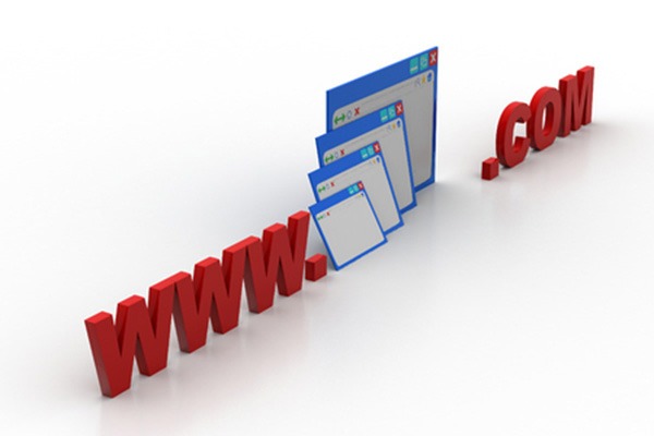What are the principles of domain name registration?