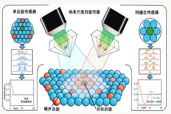 Chinese scientists have achieved entanglement-enhanced nanoscale single-spin quantum sensing.