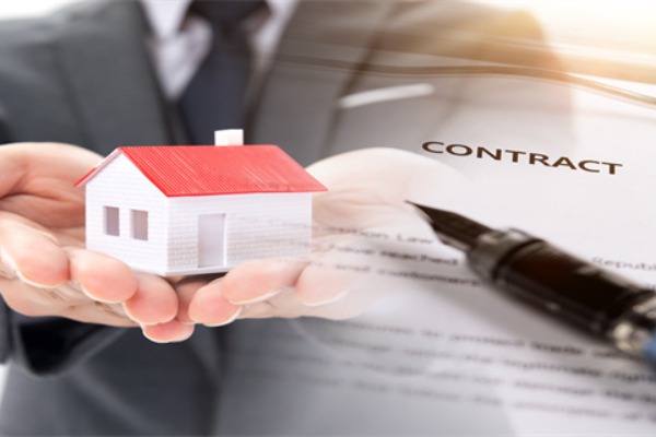 Regional differentiation in Hong Kong: New Territories East leads gains, highlighting the 'strong east and stable west' pattern!