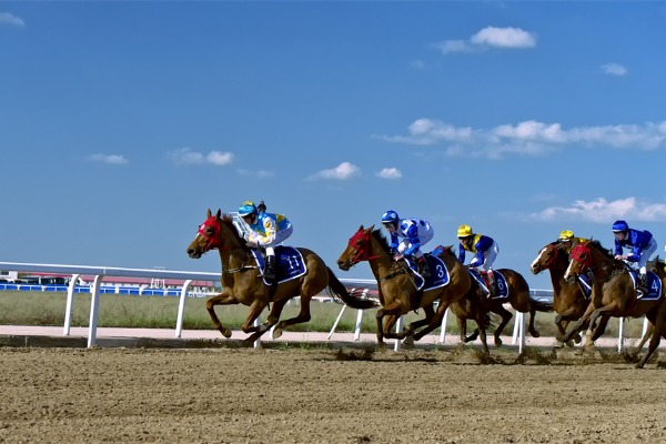 Horse racing tourism has become Hong Kong's new ace! Jockey Club upgrades to attract customers with billions of dollars!