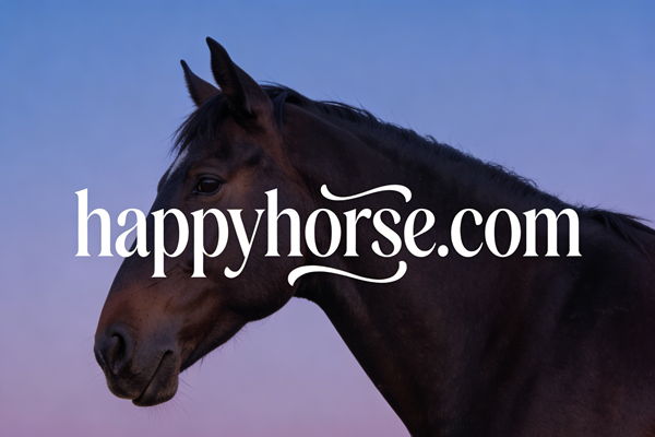 Alibaba Moves to Acquire happyhorse.com! Why .com Domains Have Become a “Battleground” for Tech Giants