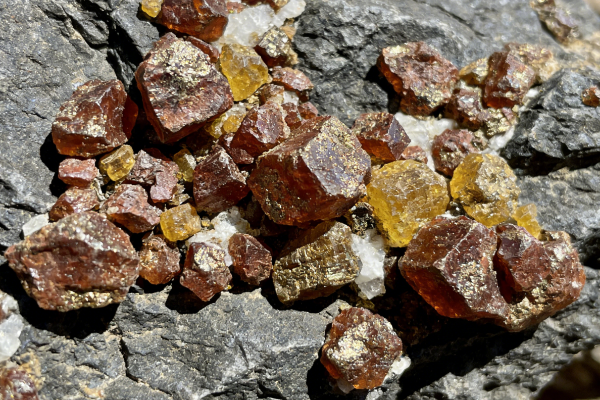The non-ferrous metal sector is strong and rising, with large and medium-sized mining leading the market