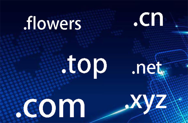 What is the top domain name? What are the advantages?What are the forms of domain names?