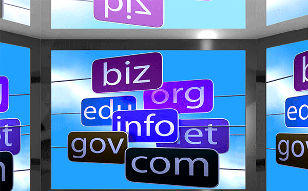 What is the .biz domain name?Value is not worth buying?