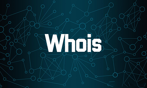 What is WHOIS information, why do I do WHOIS query?
