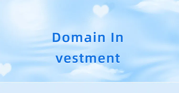A Practical Guide to Protecting Domain Name Investments,Shared from Personal Experience