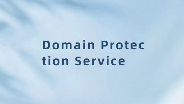Why protect domain names? How to protect domain name assets?
