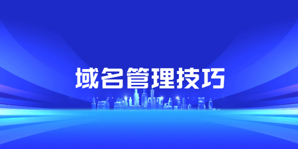 域名管理技巧-如何保护和维护您的域名资产