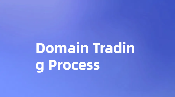 Transaction Process Guide - Detailed Guide to Domain Name Transactions on the Platform