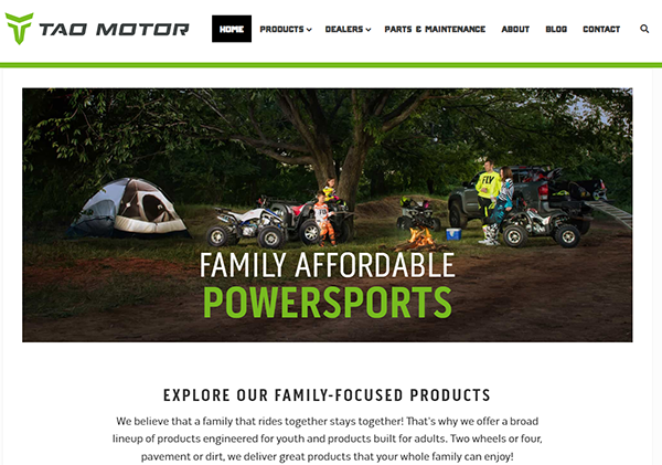 Tao Tao Motors splashes out $12 million on a single domain name