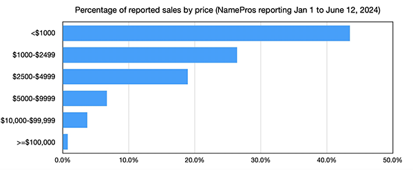 Latest! NamePros Domain Sales Analysis for H1 2024