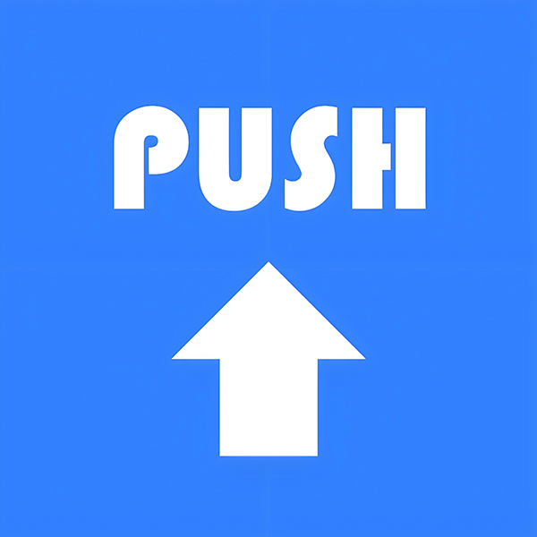 The Difference and Risk Analysis between PUSH and Bite Size in Domain Name Trading