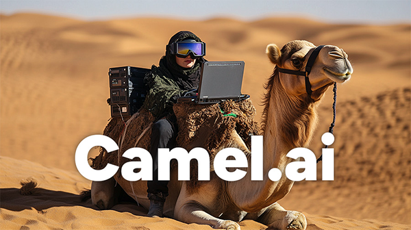 Founder breaks down after failing to grab AI domain Camel.ai domain name