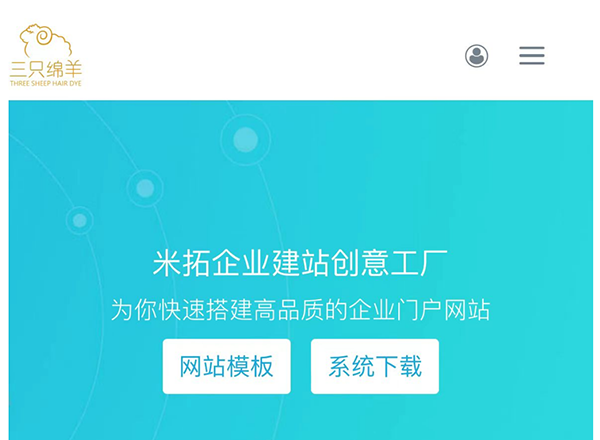 Three Sheep Group: two-letter 'TS.com' domain name better than 'sanzhiyang.cn'