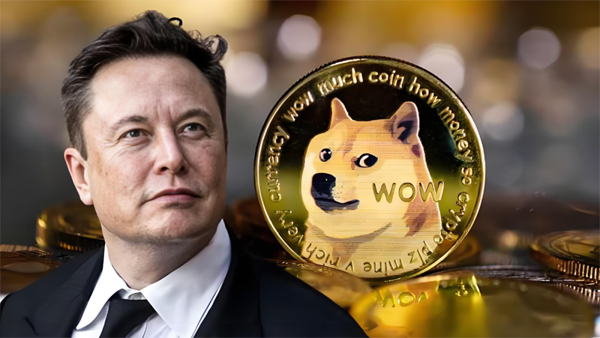 Musk shouts DOGE every day and ends up with a domain name bidding $10 million dollars on sale!