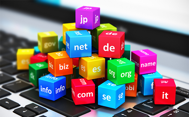 2024年回顾注册数量，整体平稳增长趋缓