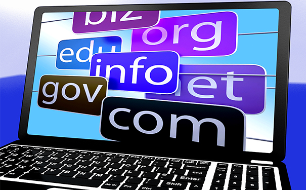 2024年回顾注册数量，整体平稳增长趋缓