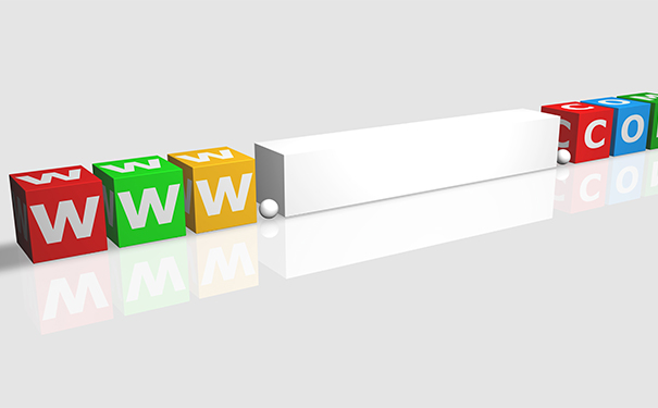 2024年回顾注册数量，整体平稳增长趋缓