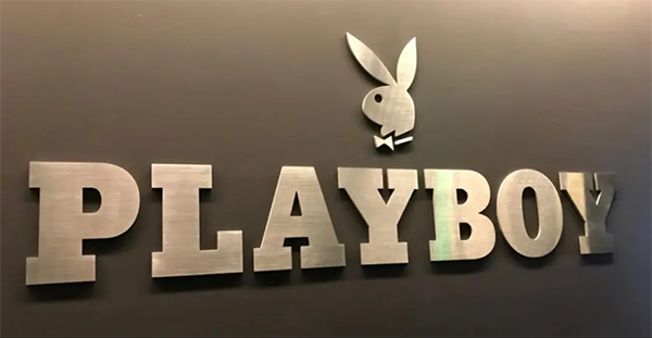 花花公子企业赢得 Playboy.ai 域名的 UDRP 诉讼