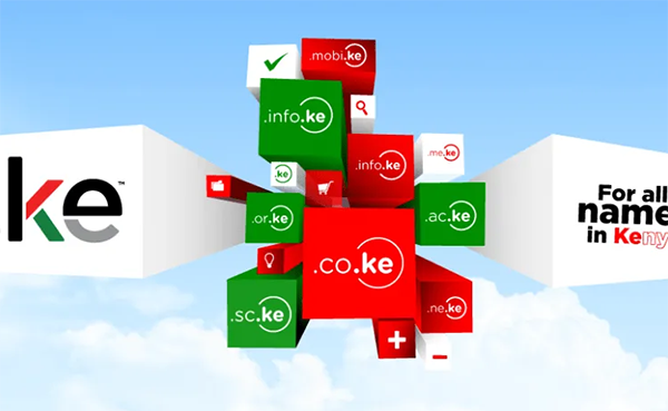 Kenya raises .KE domain name prices, market pattern changes