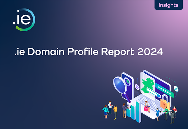 2024 .ie Domain Profile Report has been released, steady long-term growth