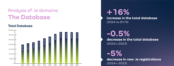 2024 .ie Domain Profile Report has been released, steady long-term growth