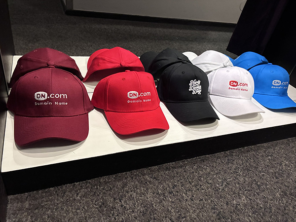 热烈祝贺2025北欧域名日(NDD)圆满收官!