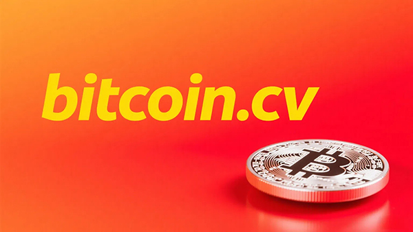 Bitcoin-related domains bitcoin.ga and bitcoin.cv successfully traded through DN.com
