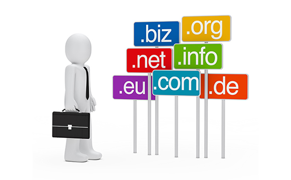 Inventory of recent representative domain name transactions