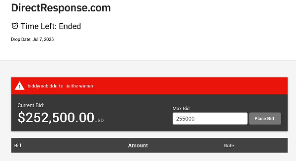 Digital River遗产拍卖热度不减，DirectResponse.com以25.25万美元成交