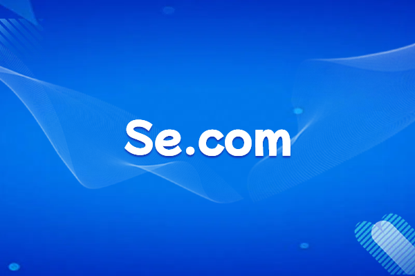 Schneider Electric France: Domain Name Brand Protection Practices and Initiatives