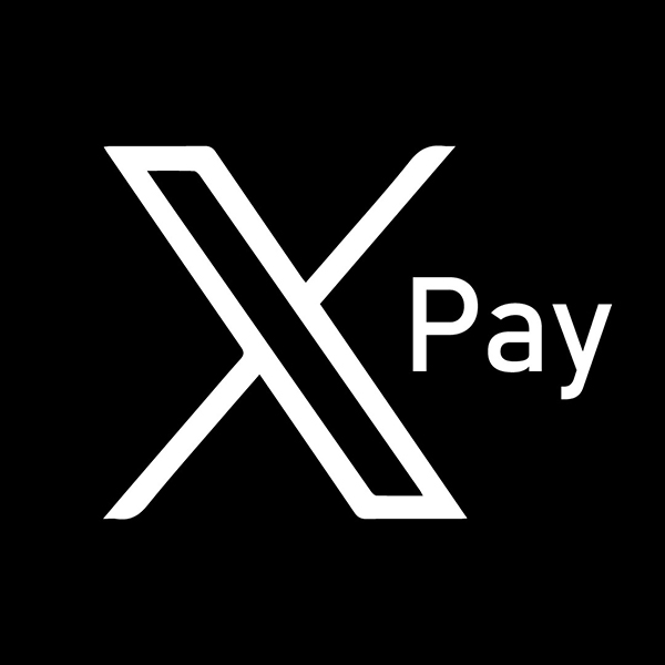 PayX.com Successfully Transaction: How Can Short, Compact Domains Capture the Crypto Finance Wave?