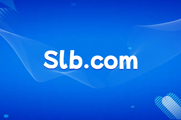 Introduction to Schlumberger and its official website domain name