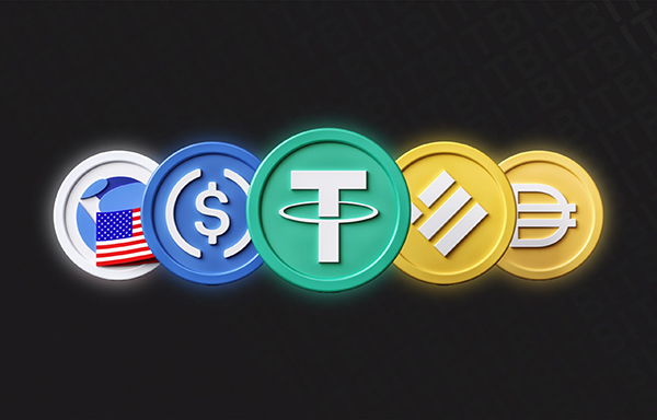 PayX.com Successfully Transaction: How Can Short, Compact Domains Capture the Crypto Finance Wave?