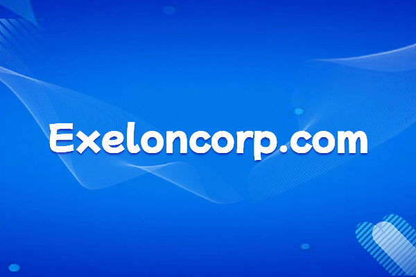 Exelon, the largest nuclear power company in the United States: Company Profile and Official Domain Name Resolver