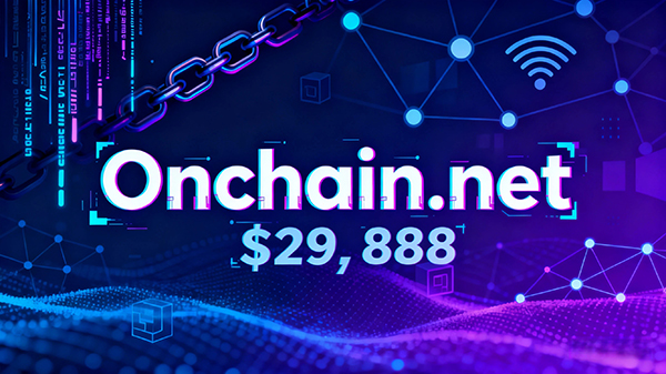 Onchain.net Domain Sold for $29,888