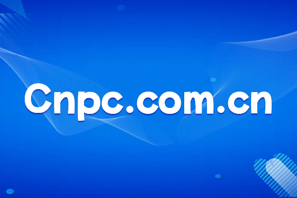 Brand Domain Protection Strategies and Practices of China National Petroleum Corporation (CNPC) Official Website