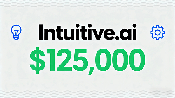 Intuitive.ai以125,000美元成交,跻身年度.AI域名Top20