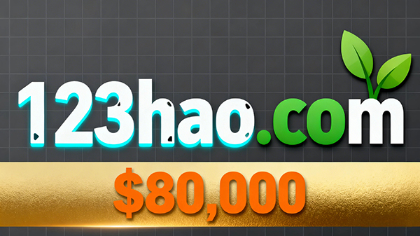 123hao.com Sold for $80,000: The Unique Value of a Number + Pinyin Combination