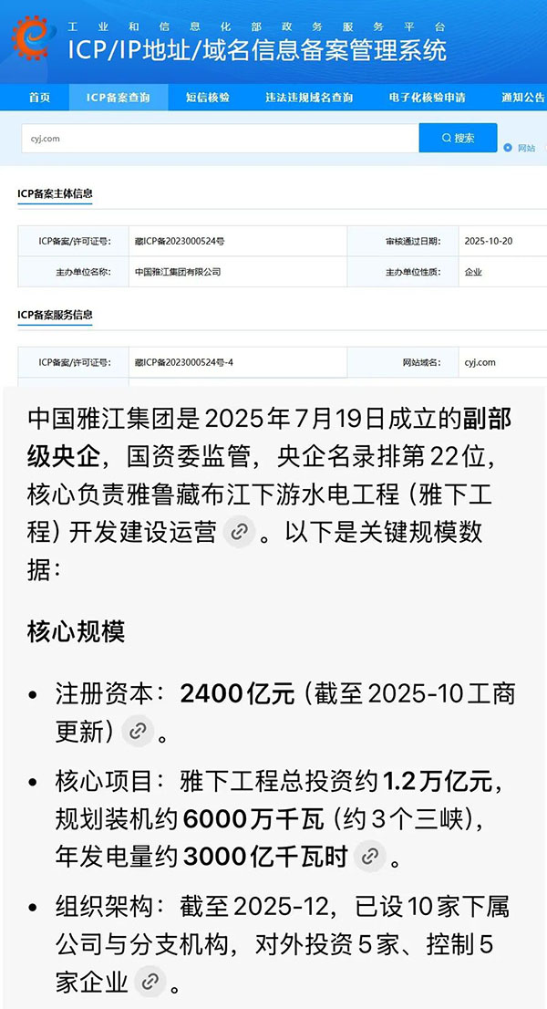 Why is China Yajiang Group treating domain names like cyj.com as a 