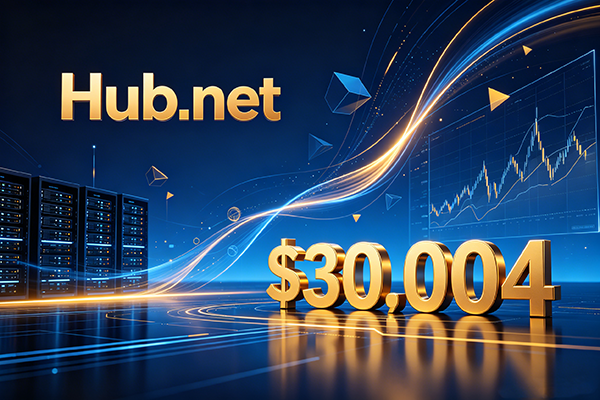 Hub.net Sold for $30,004! Another Premium 